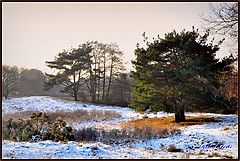 фото "wintertime"