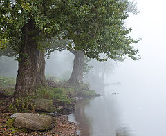 album "landscape"