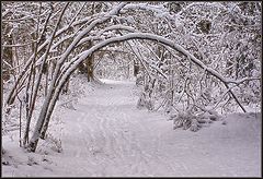 photo "Arch"