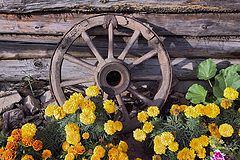 photo "***"
