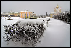 фото "Заснеженный Петергоф"