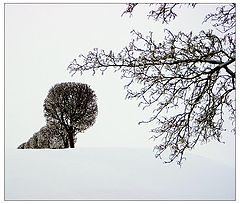 фото "В Петергофе"