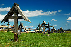 photo "***"