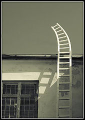 photo "***"