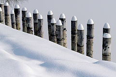 photo "Guards winter / Зимние гвардия"