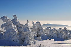 photo "sculpturs"