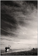 photo "***"