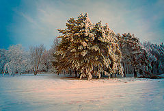 фото "В зимнем парке"