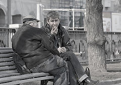 фото "Обитатели Гоголевского бульвара."