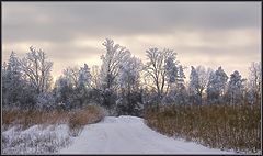 photo "Freeze"