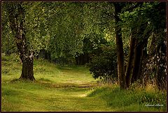 фото "De maten # 3"