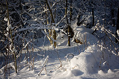 photo "***"