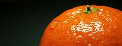 photo "orange"