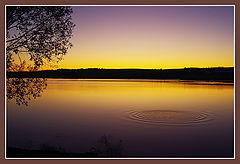 photo "***"