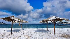 photo "Under a white sun in January"