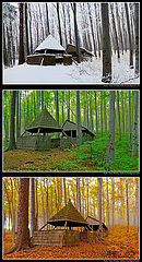 фото "Old wooden hut, seasons"