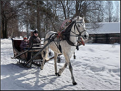 фото "Зимние забавы"