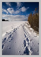 фото "***"