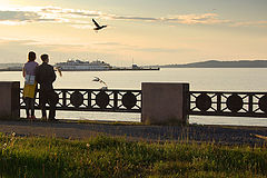 photo "***"