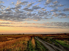 photo "Morning ..."