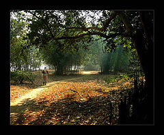 photo "**"