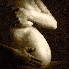 фото "2460"