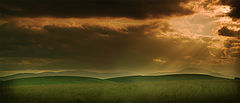 photo "***"