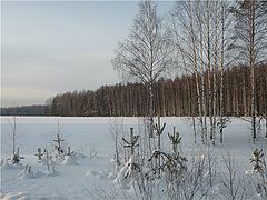 photo "***"