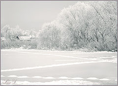 фото "Зима 2010."