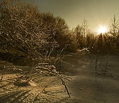 фото "Горячий снег"