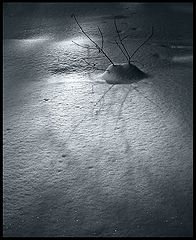 photo "***"