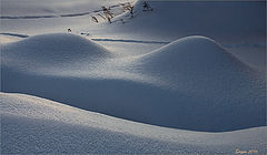 photo "Snow etude"