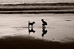 photo "***"