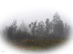 photo "***"