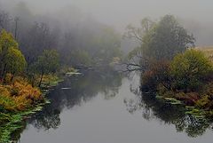 photo "About autumn, river and the fog"