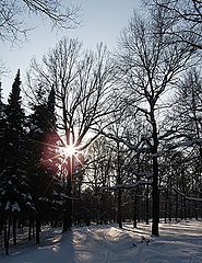 photo "***"