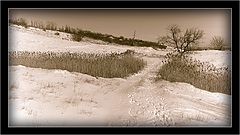 photo "Зимними тропами…"
