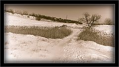 фото "Зимними тропами…"