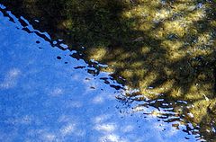 photo "parallel depths"