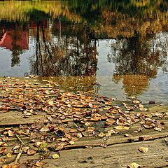 photo "***"