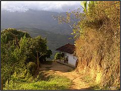 фото "***"