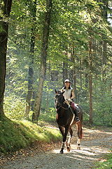 фото "Наезница/The equestrian"