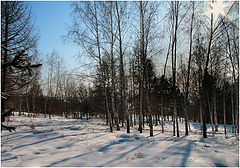 фото "Зимний день..."