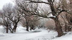 фото "Iceroad"