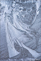 photo "***"