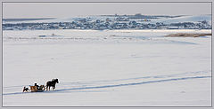 фото "Домой"