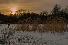 фото "возвращение"