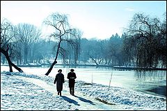 photo "Morning walk / Утренняя прогулка"