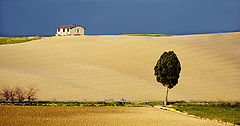 photo "OR"