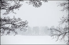 photo "***"
